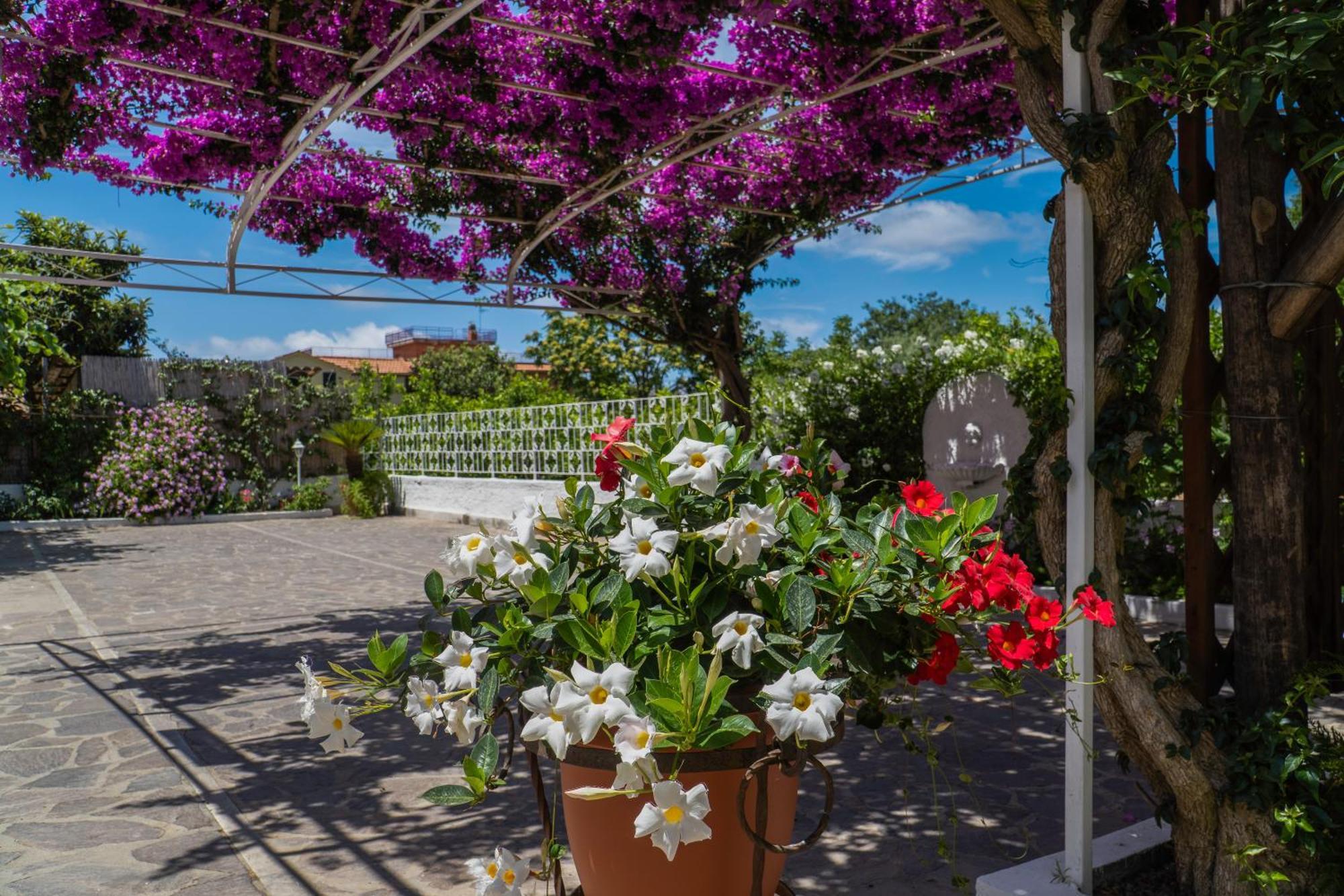 Iolanda Gasthof Piano di Sorrento